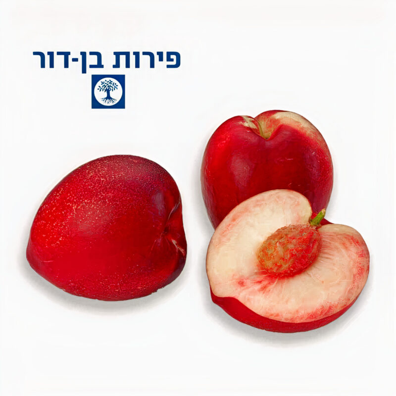 נקטרינת מי ורדים