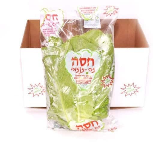 חסה עגולה זנזורי