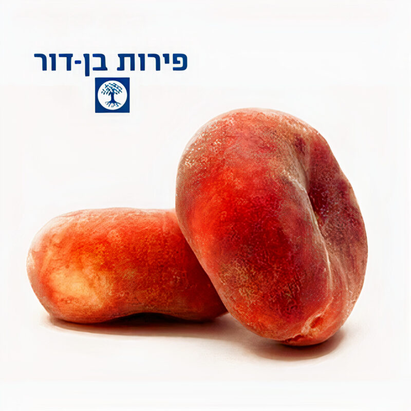 נקטרינה פיתה